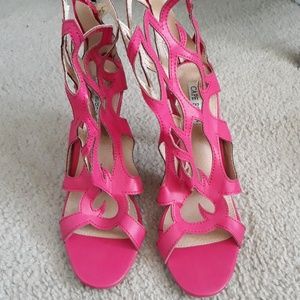 Pink Cape Robbin Heels